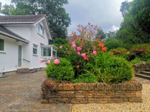 Photo 36- click for photo gallery